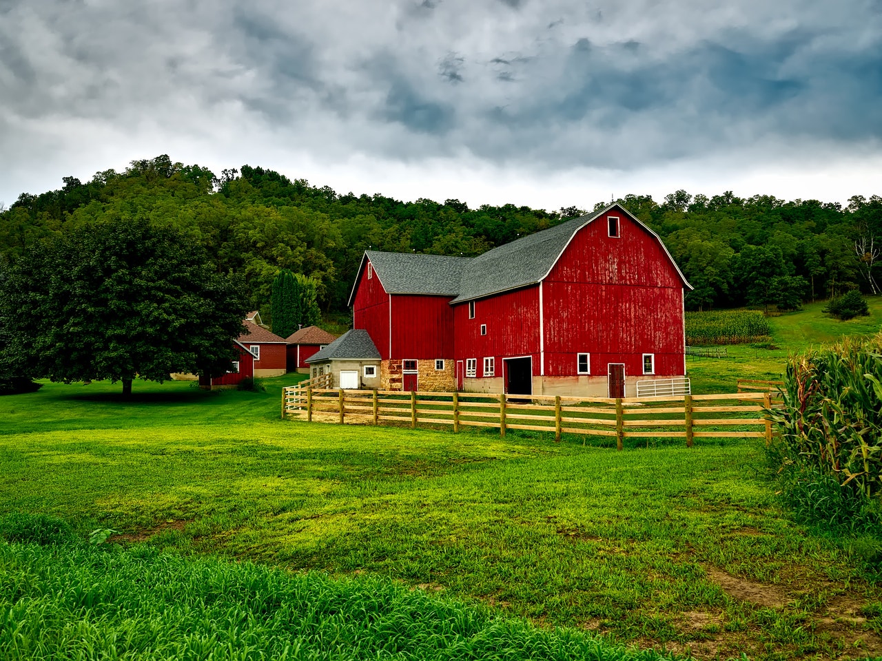 A farm, representing a property used as a guarantee on a business loan