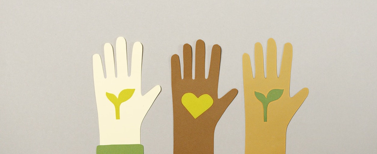 An image of hands with hearts and plants on them representing charitable works and not-for-profit organizations