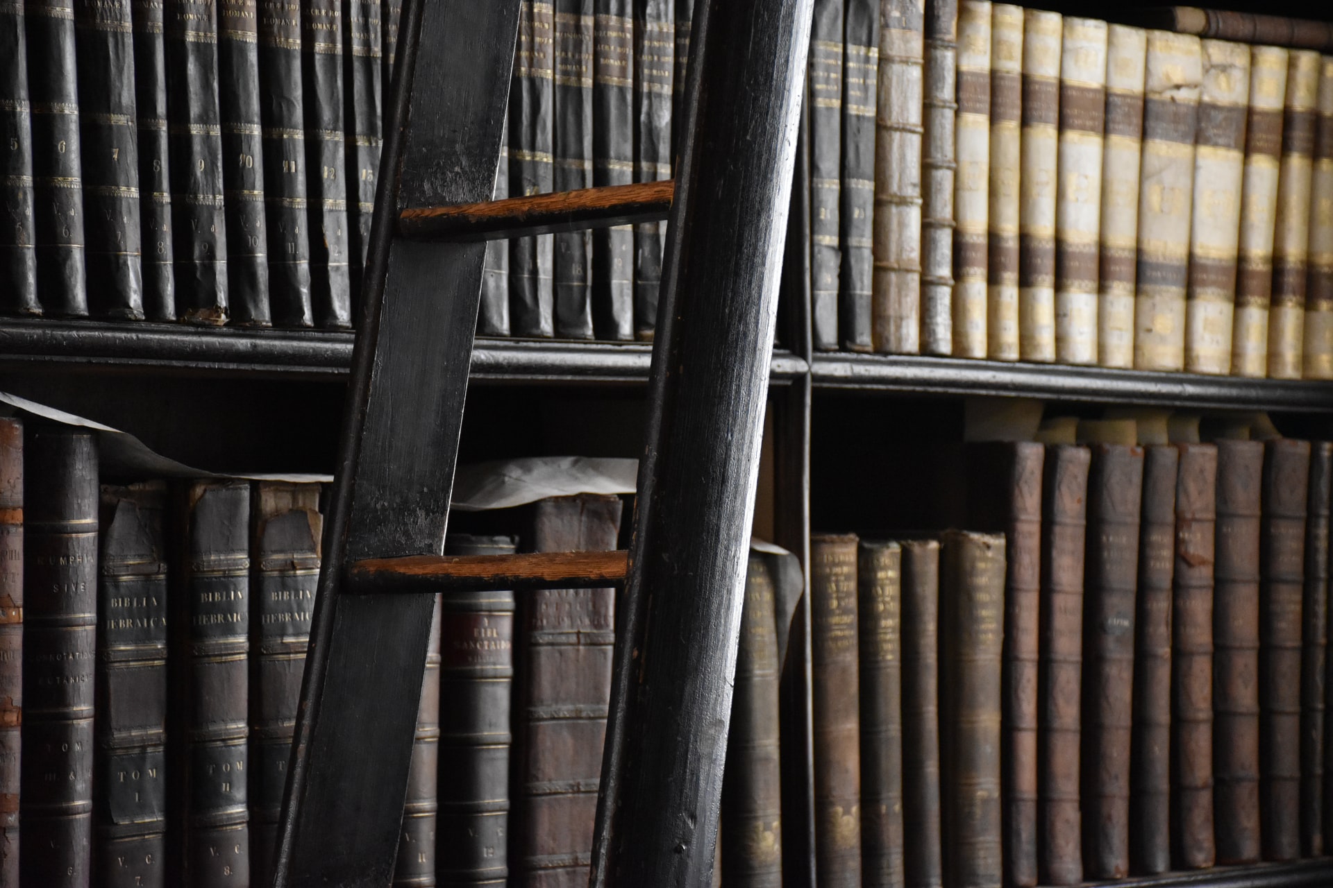 Books in a library