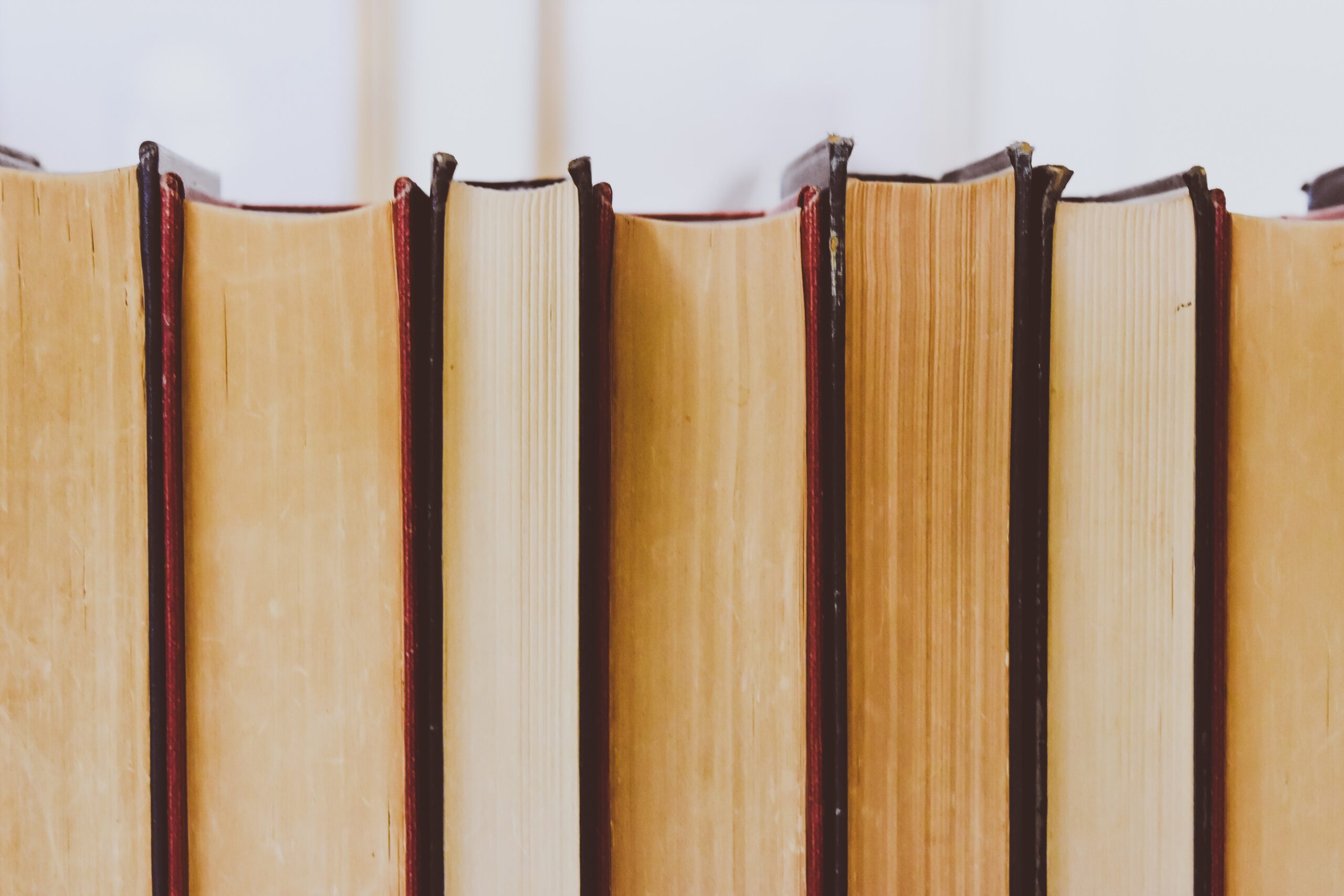 Books representing a glossary of terms to understand Civil Fraud