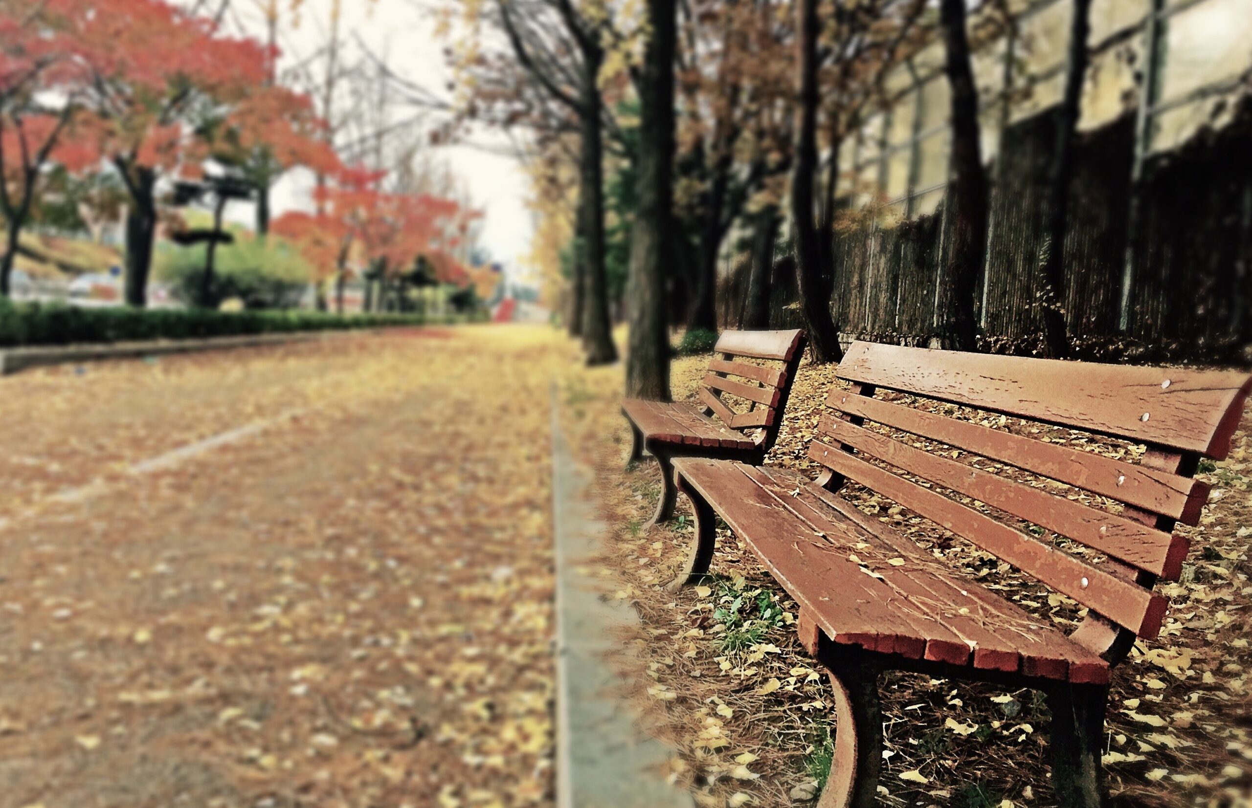 Park bench representing Osgoode Hall and different types of Injunctive Relief