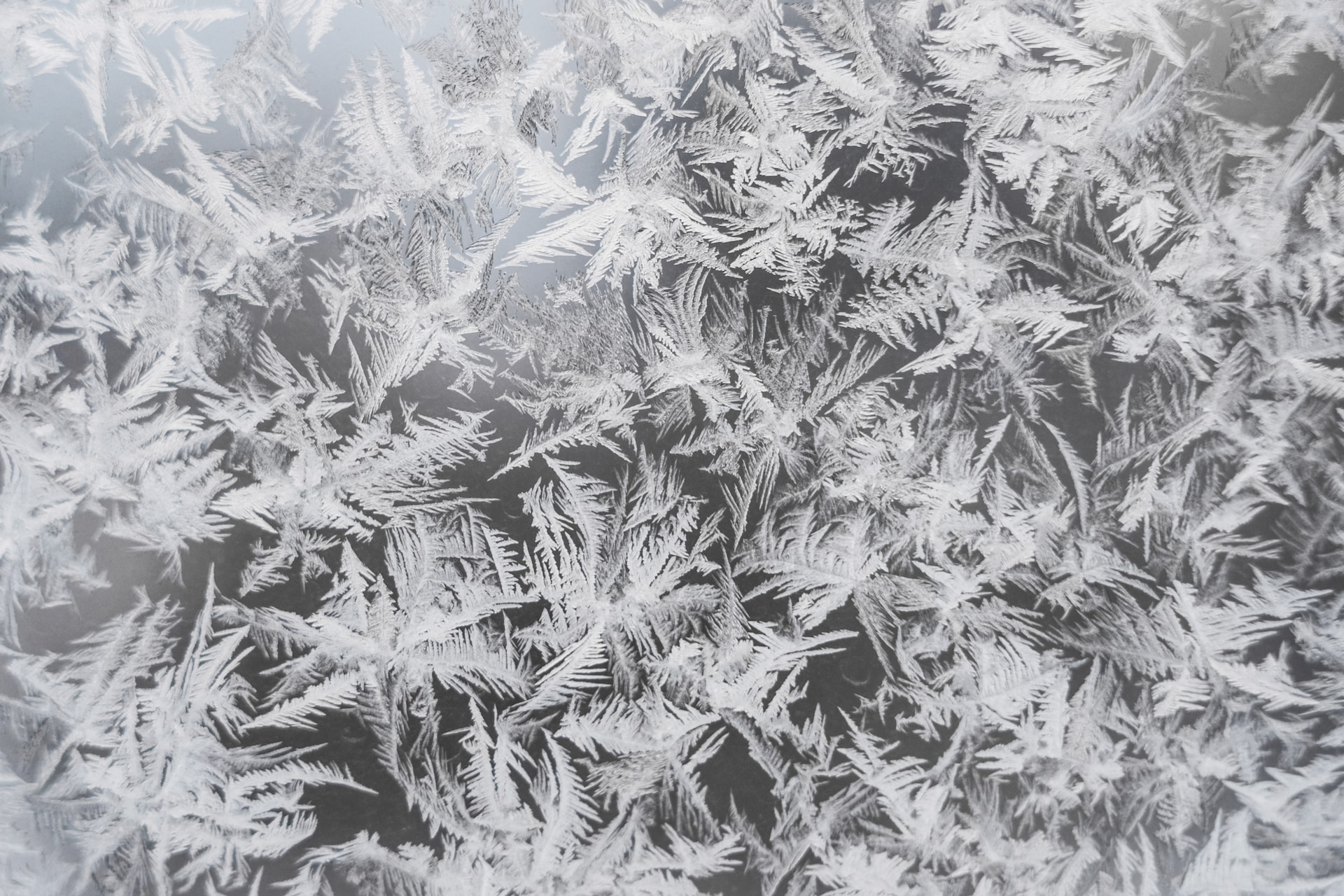 a close-up of a frosty window