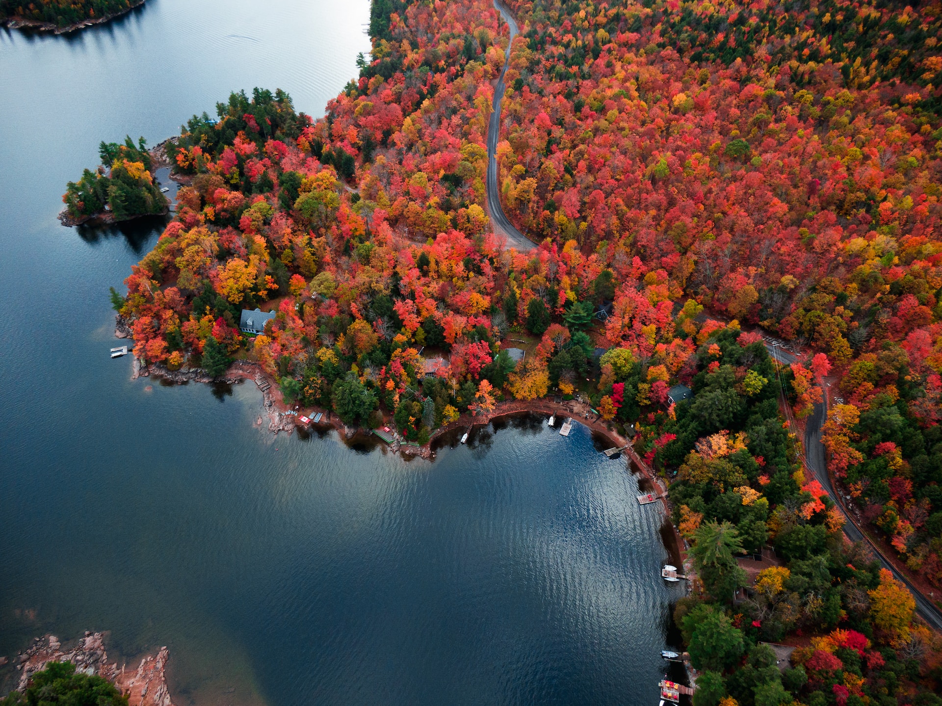 aerial view of trees changing in colour in fall in Ontario