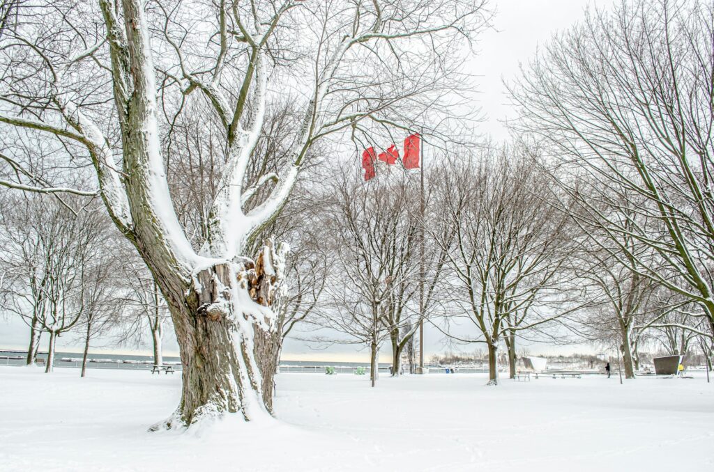 canada flag in a park in toronto in the winter